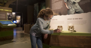 A young girl explores the "Becoming Jane" exhibit at the National Geographic Museum