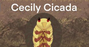 Cecily Cicada
