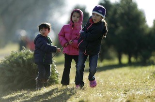 Snicker's Gap kids pulling tree credit El Lobo