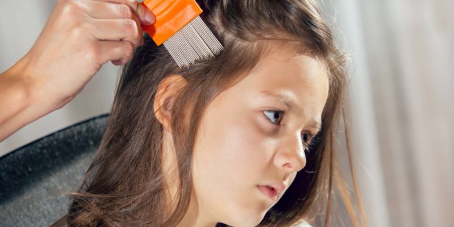 Mother using a comb to look for head lice.