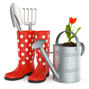 rain boots filled with gardening tools next to a watering can with a plant in it