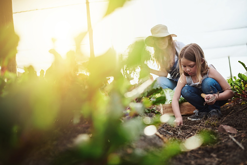 Gardening with Kids: Growing Memories
