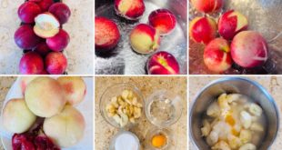 Peaches recipe compilation