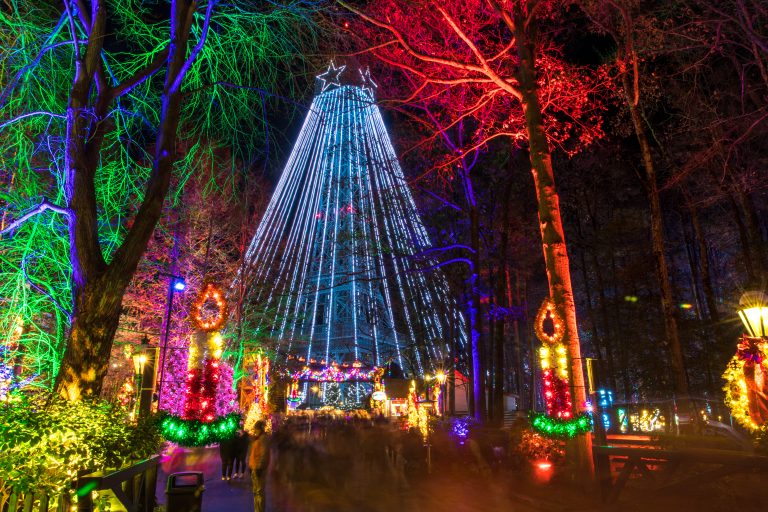 The Best Holiday Events in the DC Area