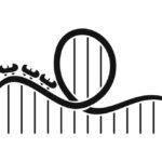 Family Entertainment