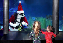 Santa Claus in an aquarium