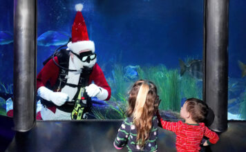 Santa Claus in an aquarium