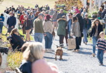 Mid Atlantic Antique & Garden Festival