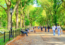On Bored: Traveling With My 15-Year-Old to New York Central Park