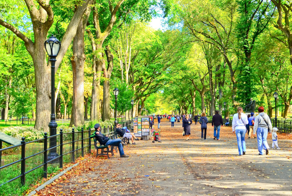 Central Park
