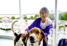 Pet-Friendly Places With Endless Paws-Abilities for Family Fun