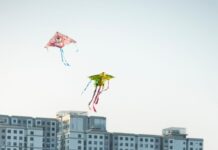Free Events in the DMV This August People flying kites