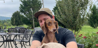 Two dachshunds and their owner at Great Country Farms