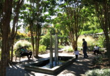 8 FREE Events in the DMV This Month