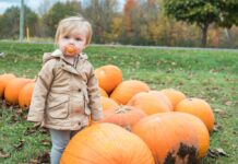 Family Fun Events in the DMV: Oct. 2-4 Baby standing by pumpkins
