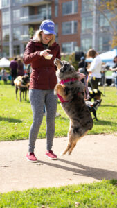 A dog jumps up to get a treat at Paws in the Park