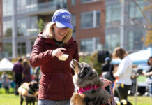 Check Out These DMV Events: Oct. 10-11 A dog jumps up to get a treat at Paws in the Park